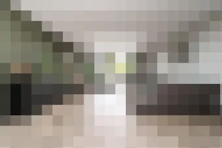 Zalm 7 Hendrik-Ido-Ambacht thumbnail 8