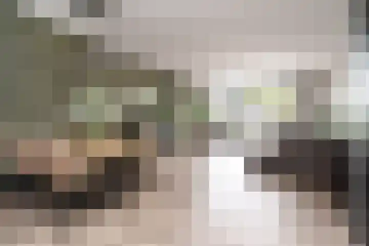 Zalm 7 Hendrik-Ido-Ambacht thumbnail 9