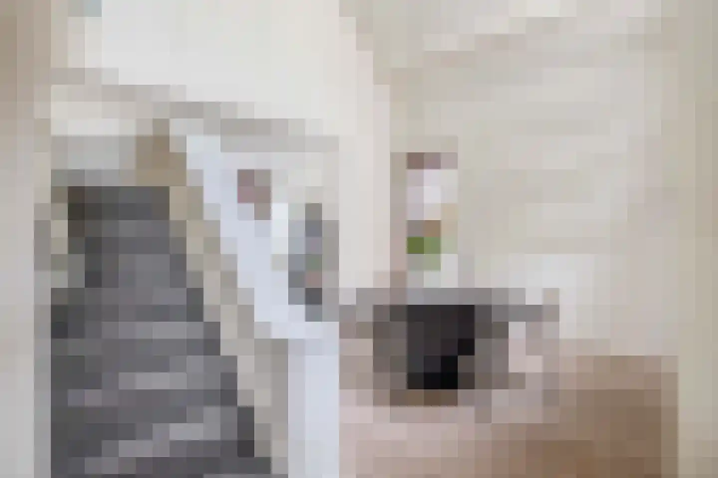 Zalm 7 Ridderkerk thumbnail 21