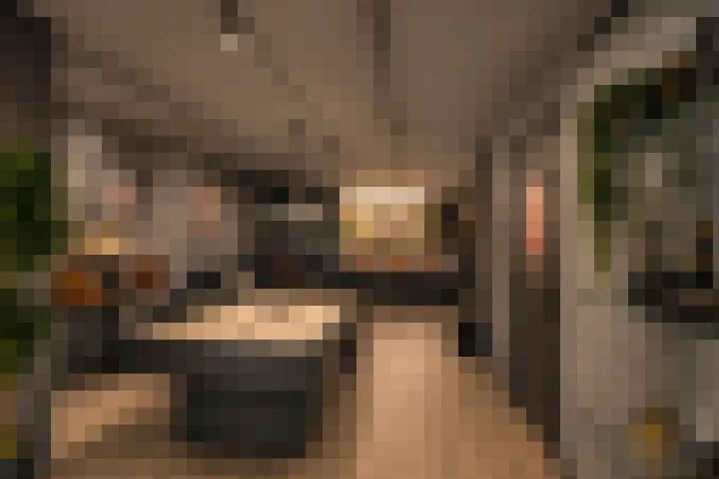 Zalm 7 Ridderkerk thumbnail 32