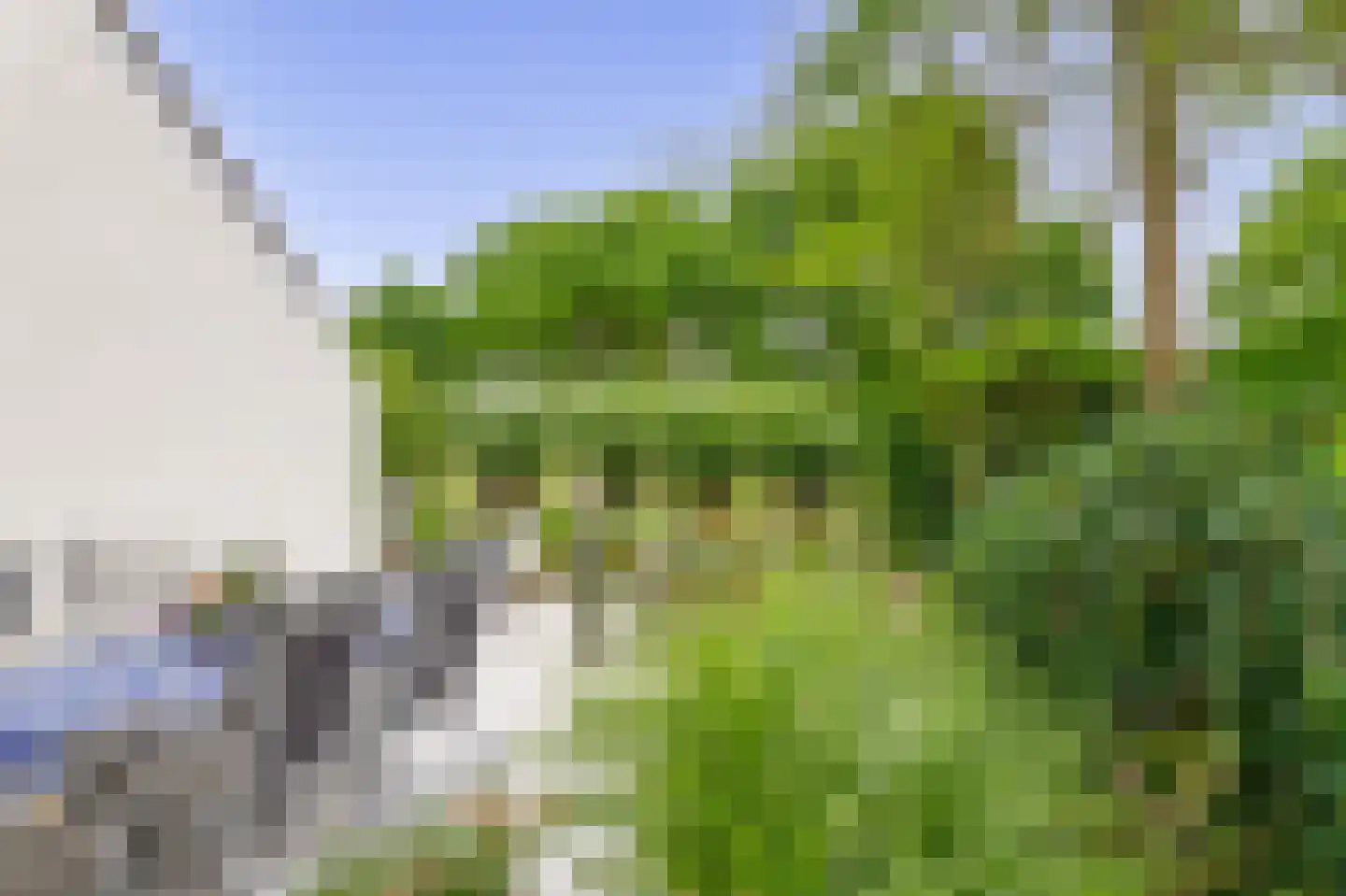 Zalm 7 Ridderkerk thumbnail 41