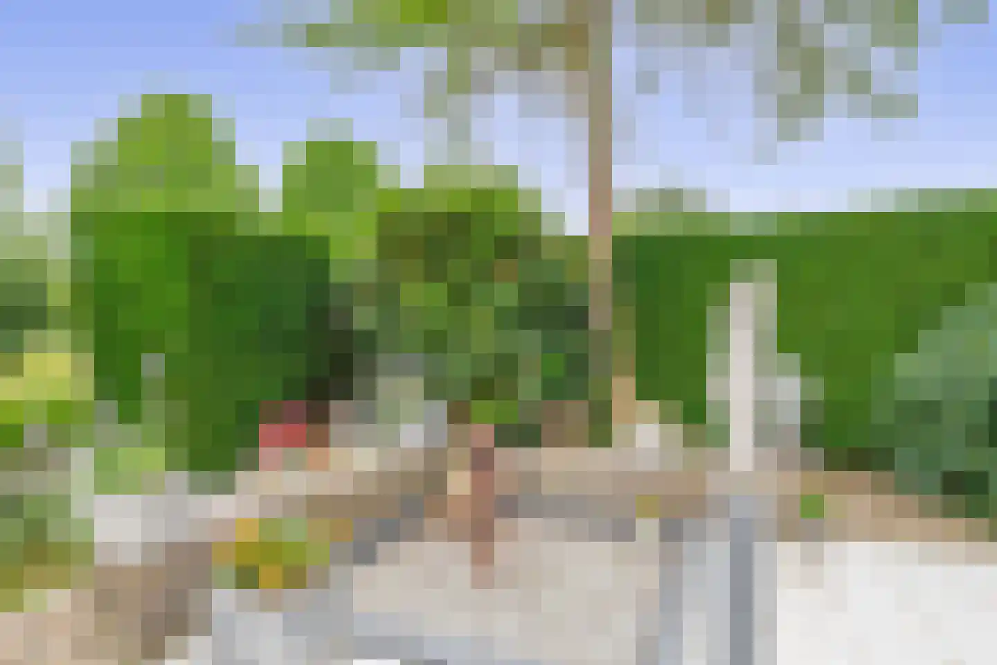 Zalm 7 Ridderkerk thumbnail 42