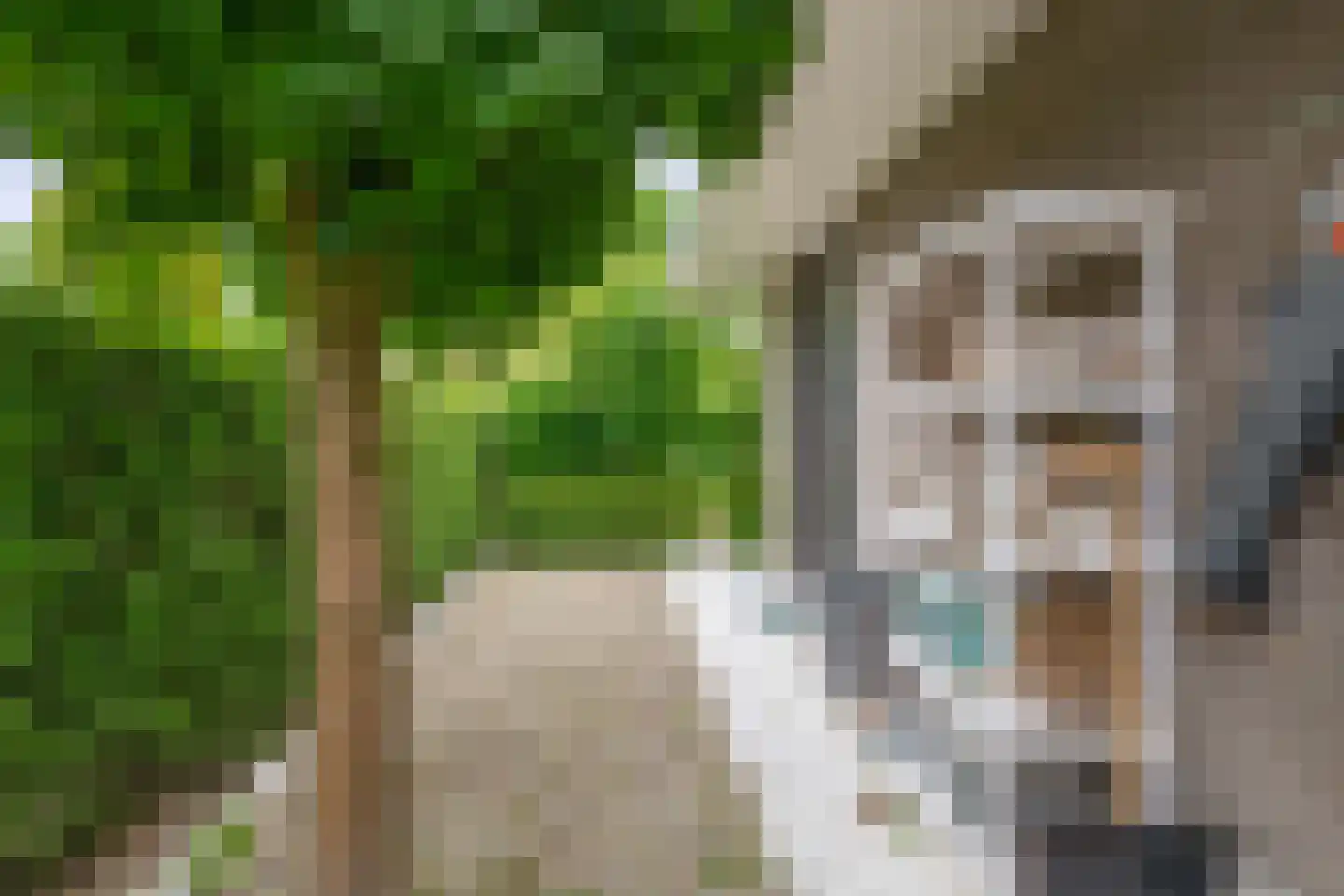 Zalm 7 Ridderkerk thumbnail 43
