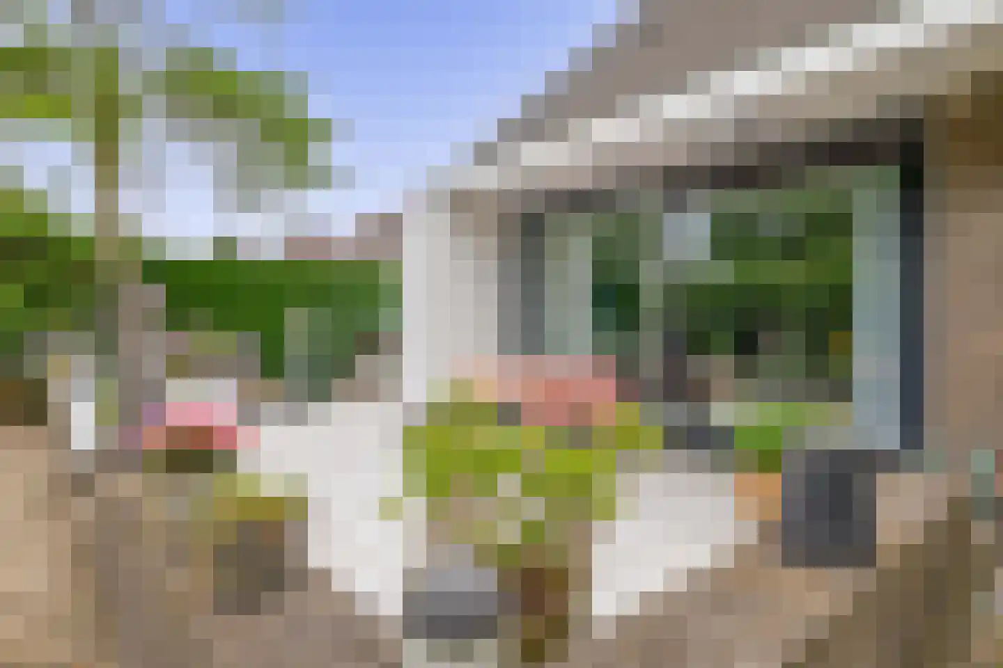 Zalm 7 Ridderkerk thumbnail 44