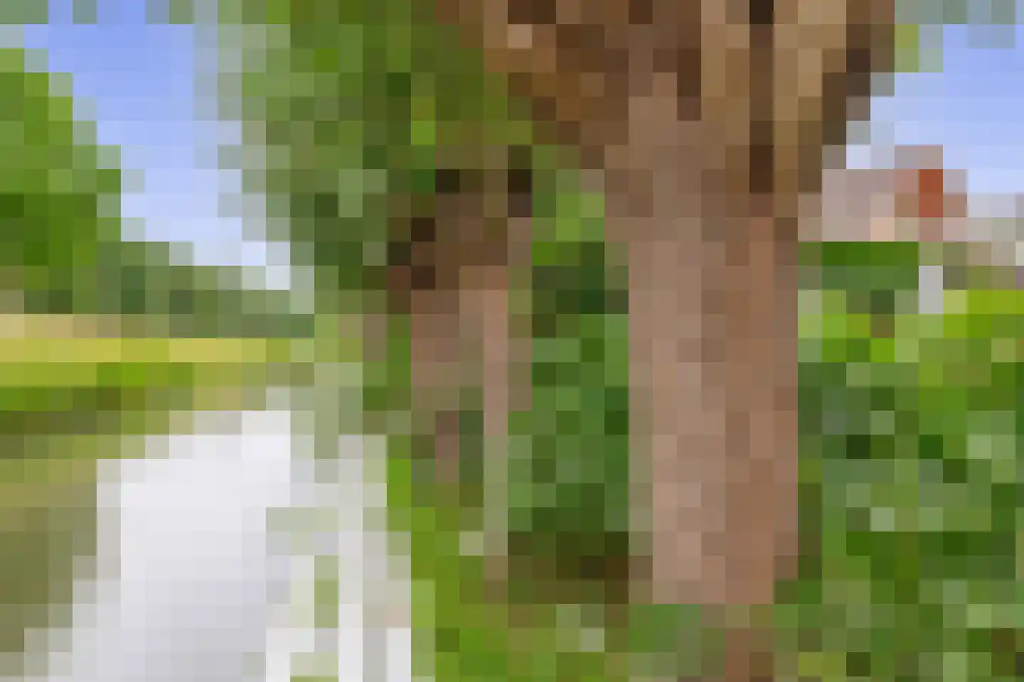 Zalm 7 Ridderkerk thumbnail 45