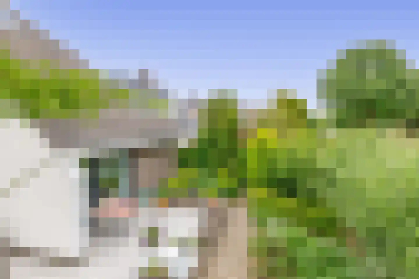 Zalm 7 Ridderkerk thumbnail 46