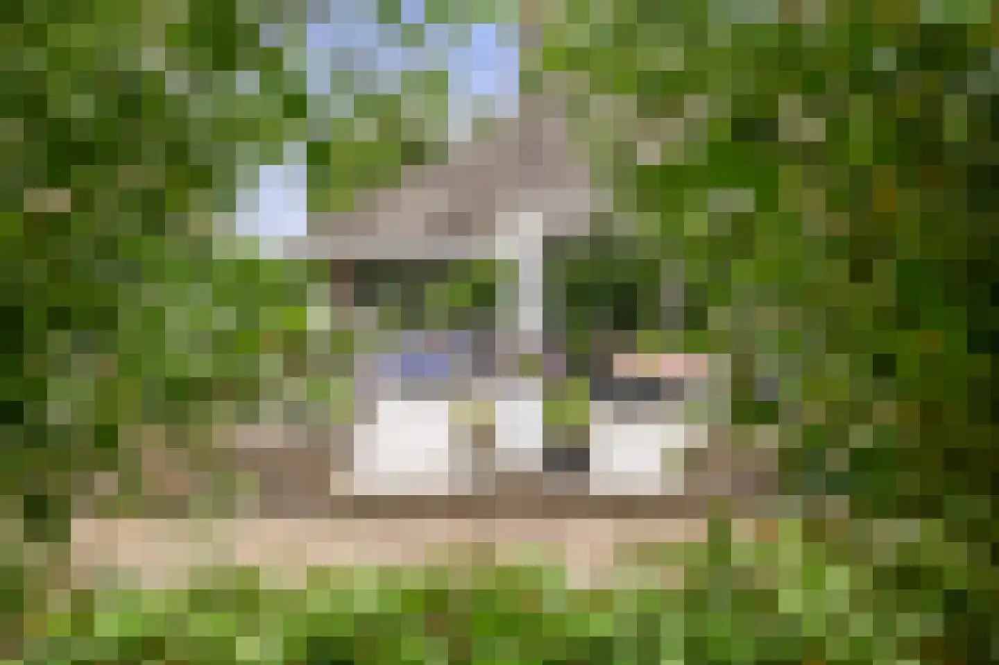 Zalm 7 Ridderkerk thumbnail 47