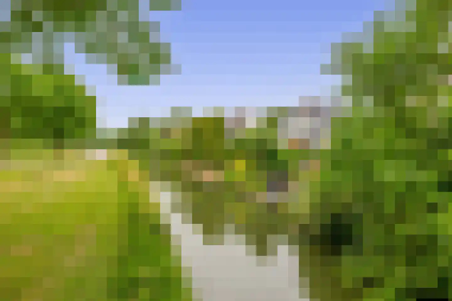 Zalm 7 Ridderkerk thumbnail 48