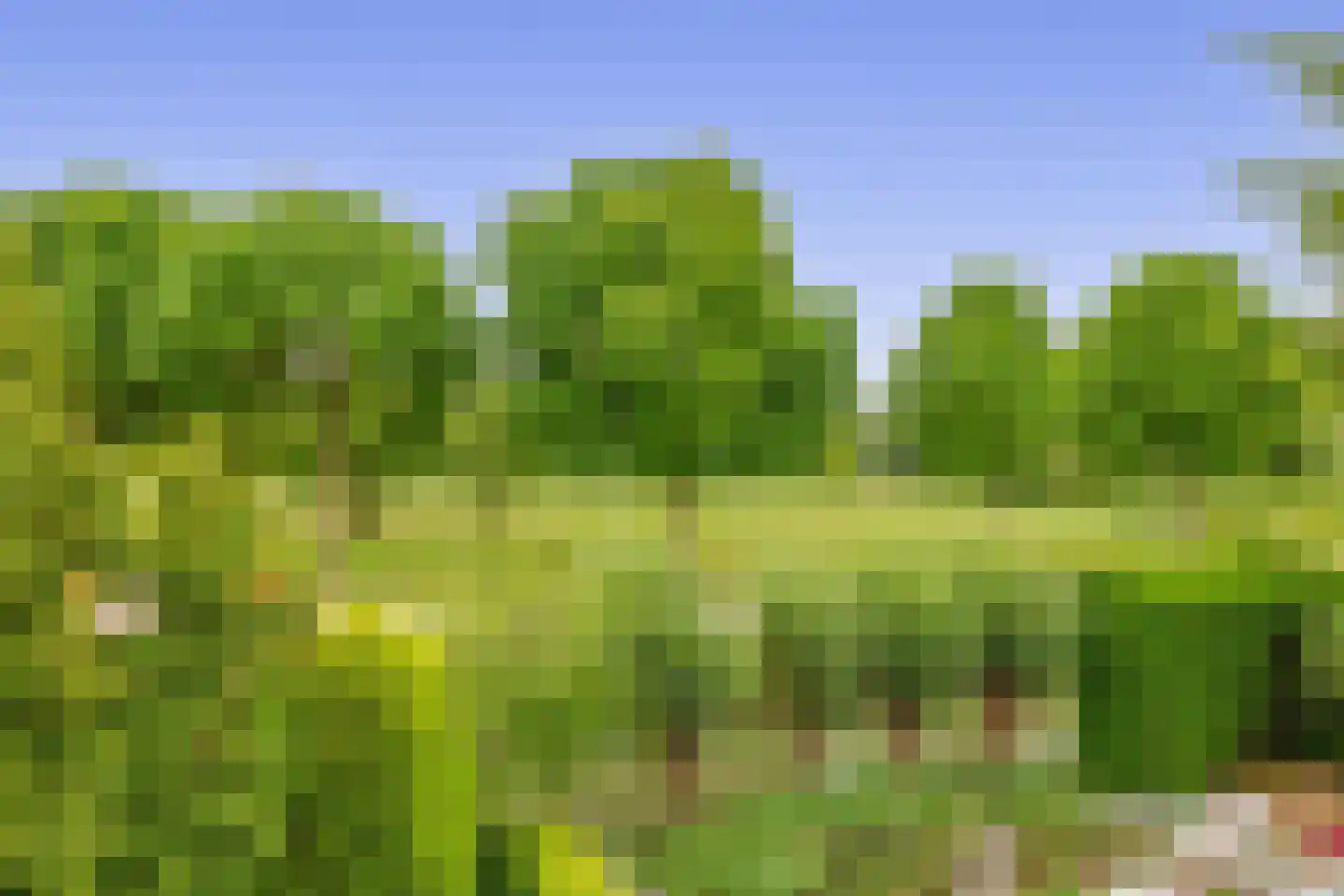 Zalm 7 Ridderkerk thumbnail 49