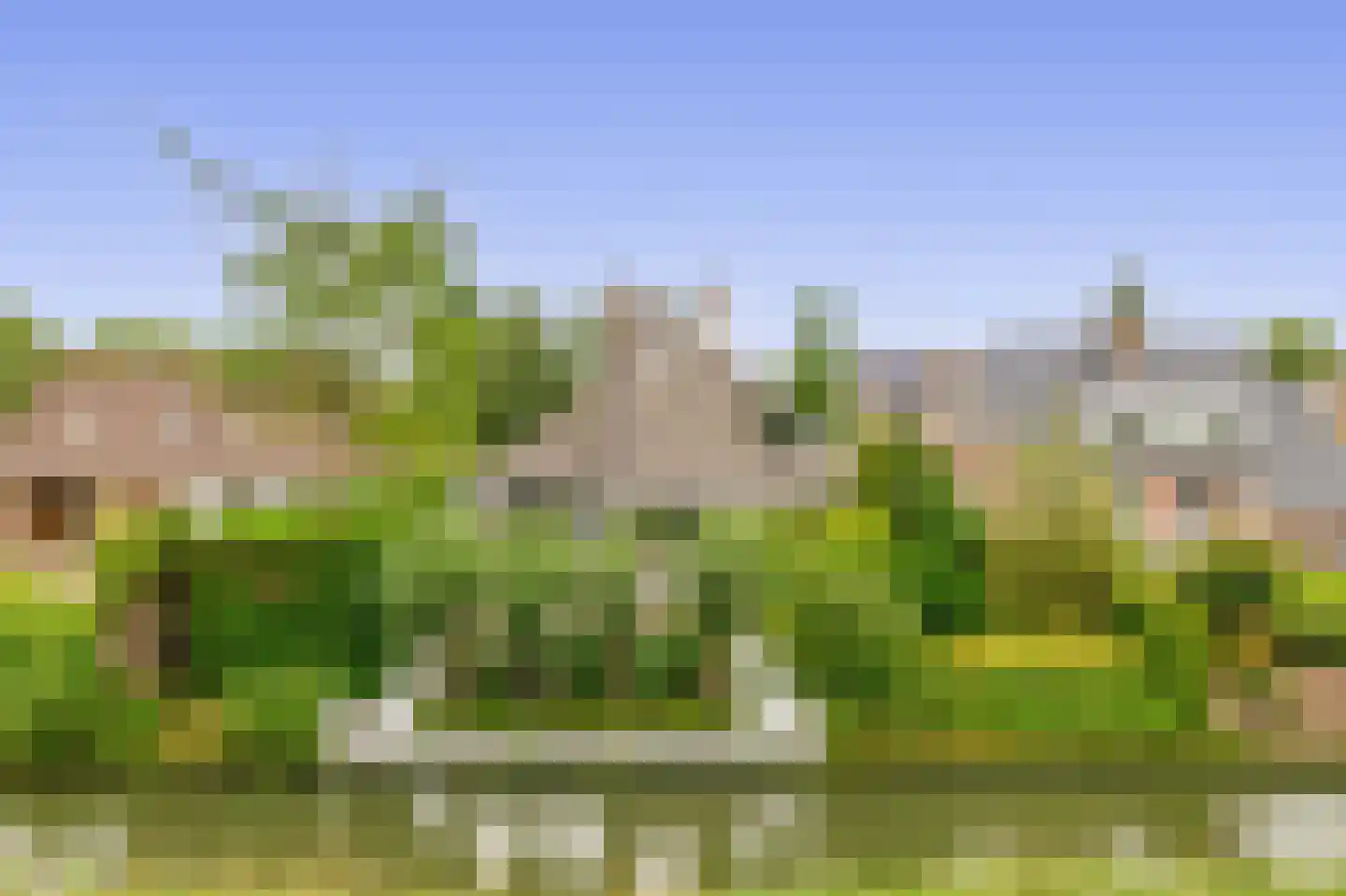 Zalm 7 Ridderkerk thumbnail 5