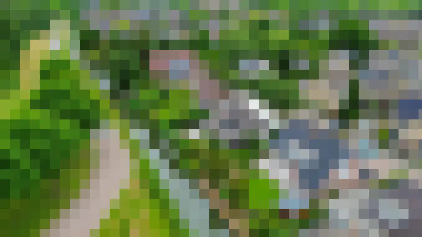 Zalm 7 Ridderkerk thumbnail 56