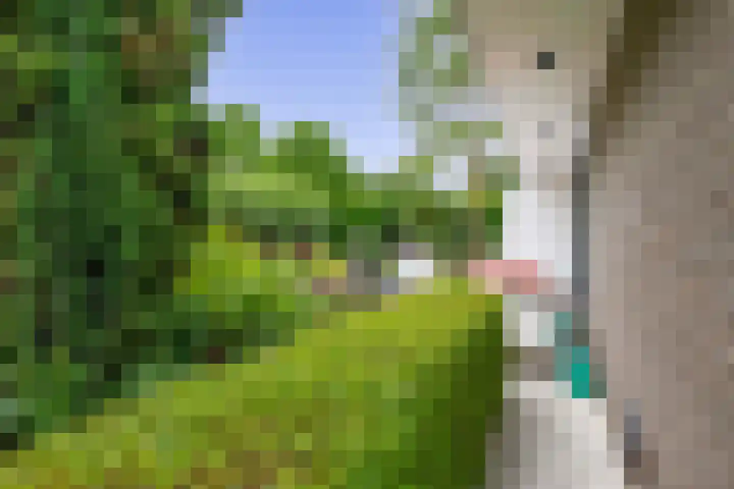 Zalm 7 Ridderkerk thumbnail 59