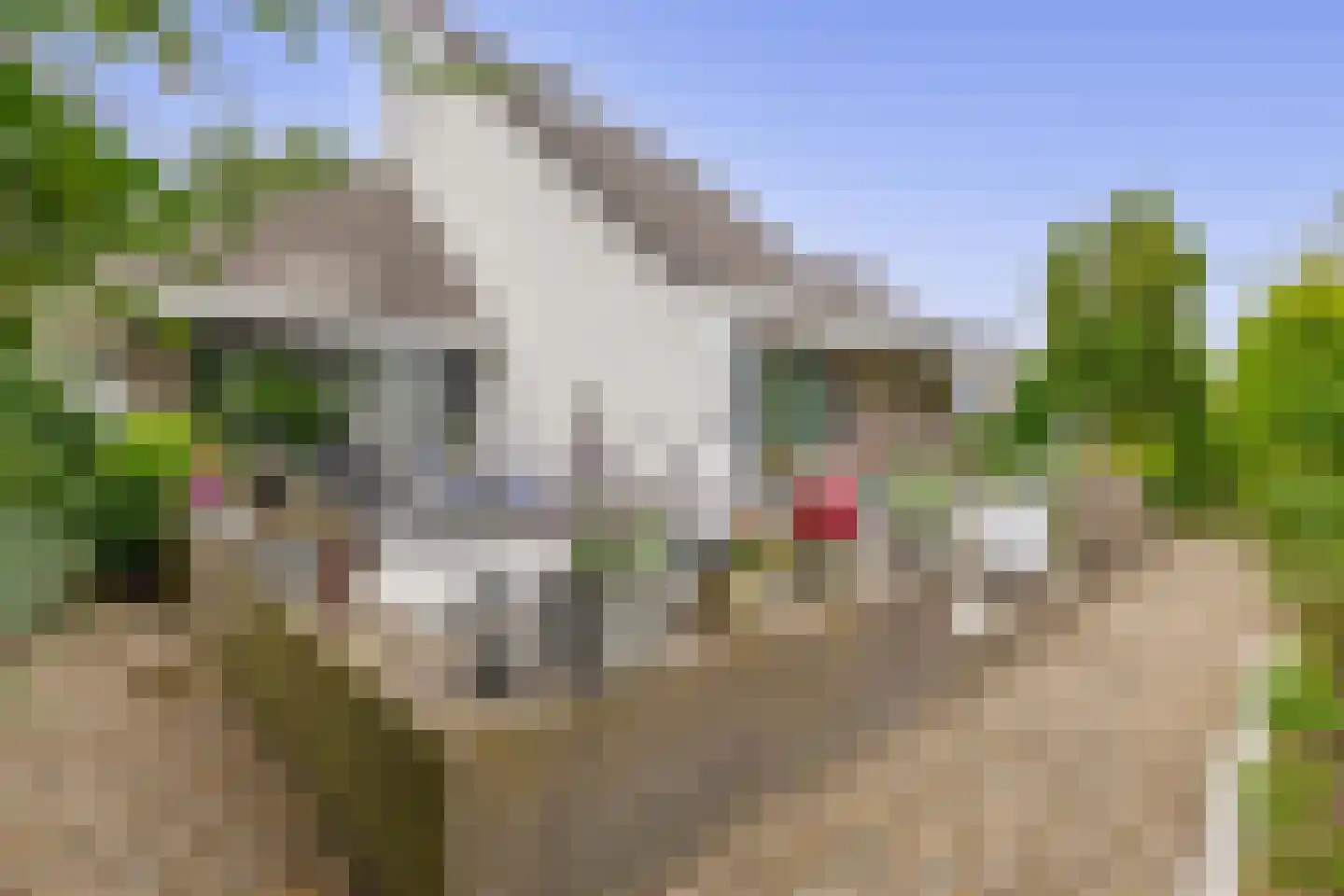 Zalm 7 Ridderkerk thumbnail 6