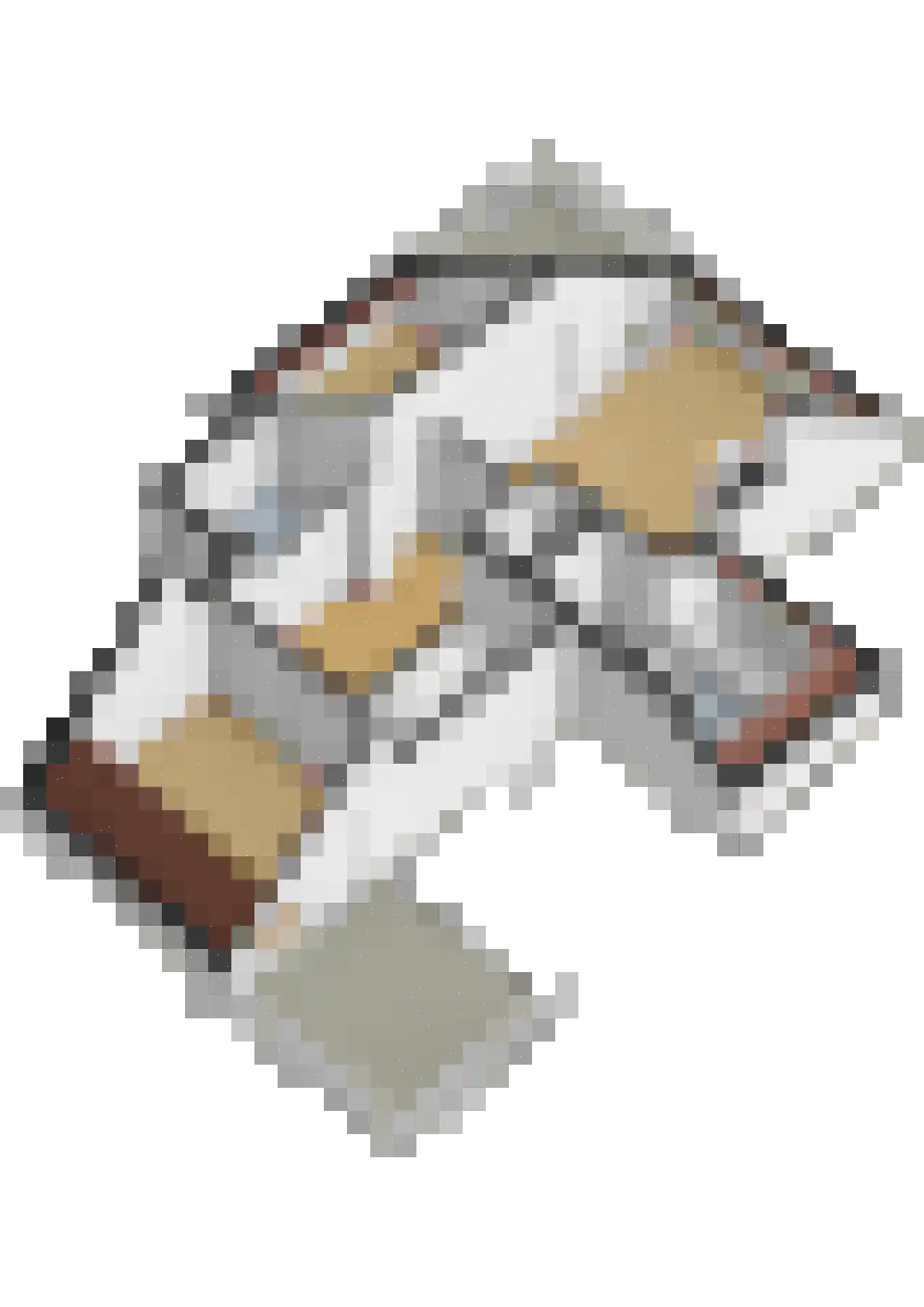 Zalm 7 Ridderkerk thumbnail 60