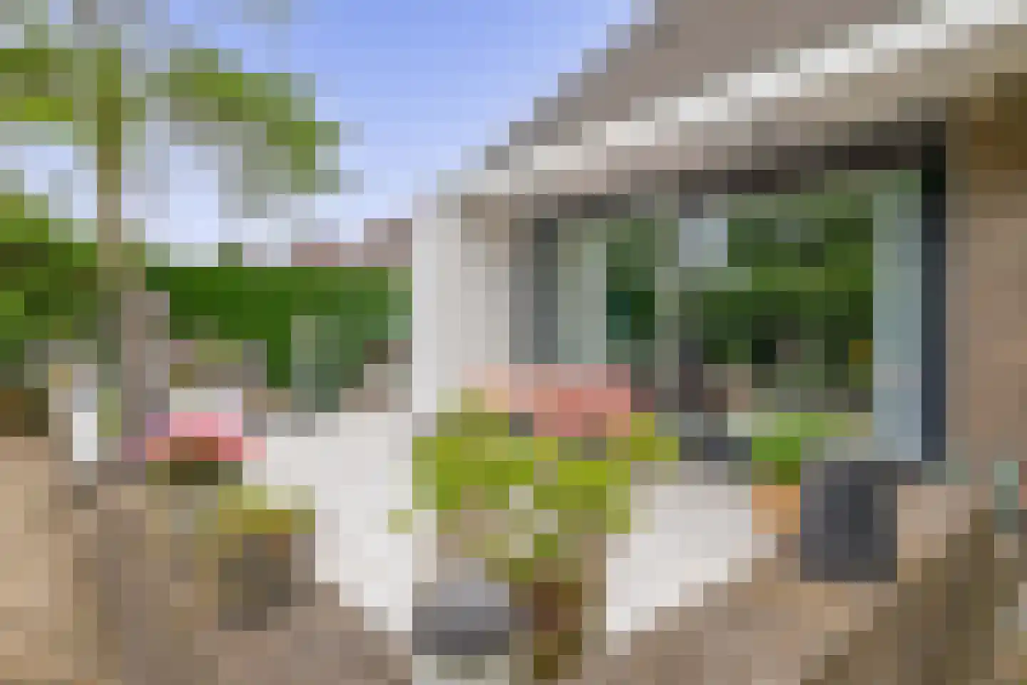 Zalm 7 Ridderkerk thumbnail 62