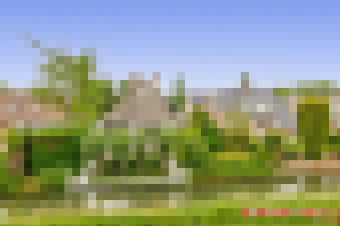 Zalm 7 Ridderkerk thumbnail 70