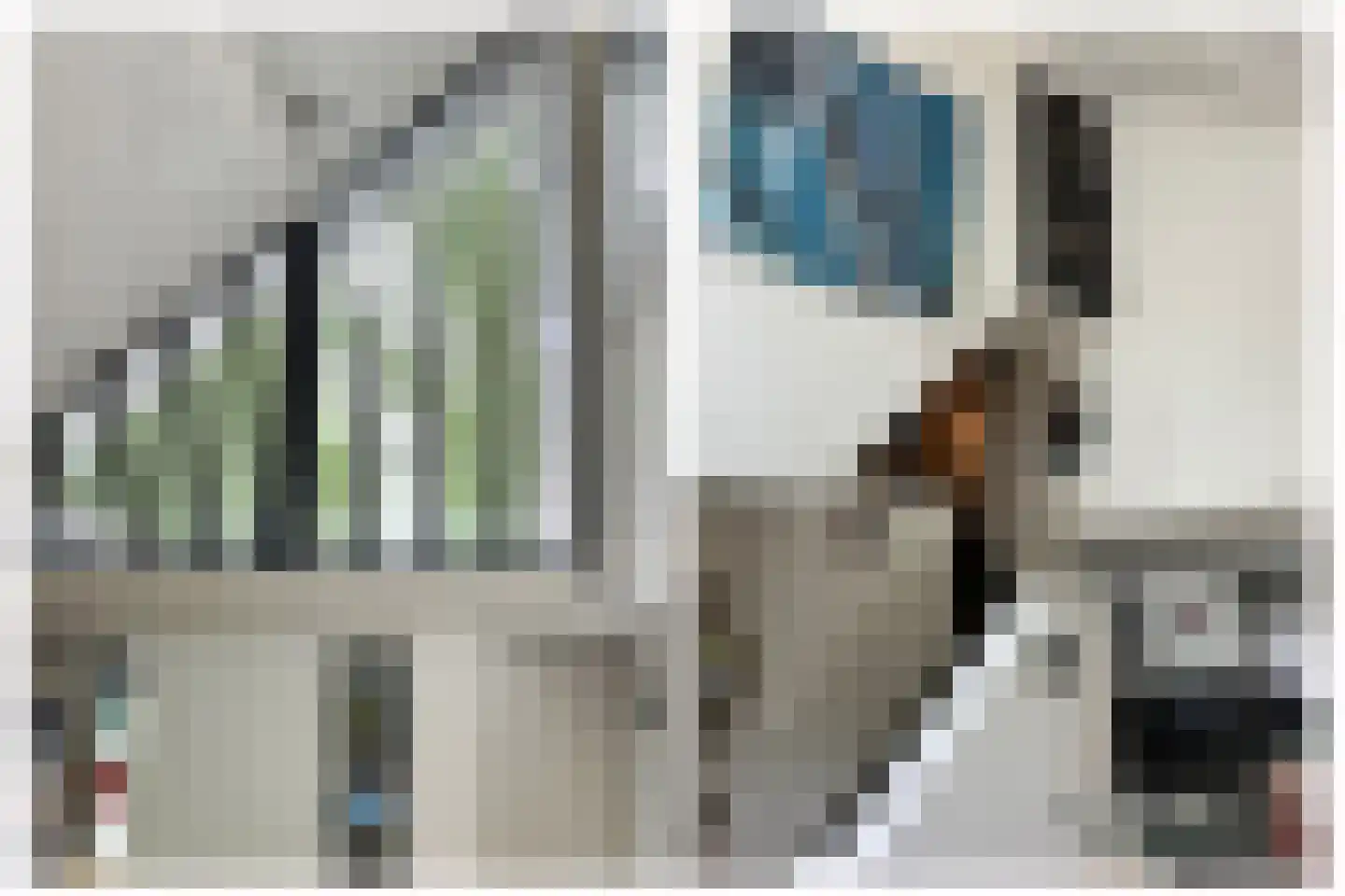 Zalm 7 Ridderkerk thumbnail 8