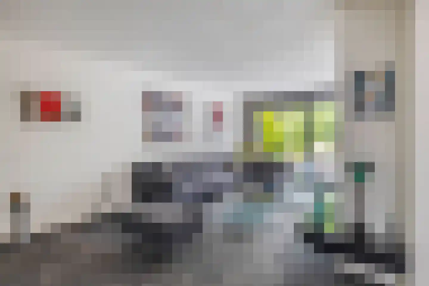 Zalm 7 Ridderkerk thumbnail 9