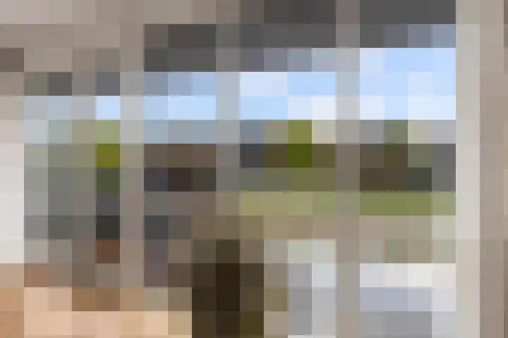 Zalm 9 Amersfoort thumbnail 12