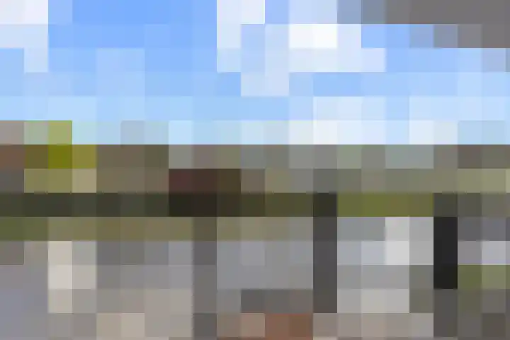 Zalm 9 Amersfoort thumbnail 13