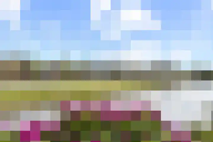 Zalm 9 Amersfoort thumbnail 14