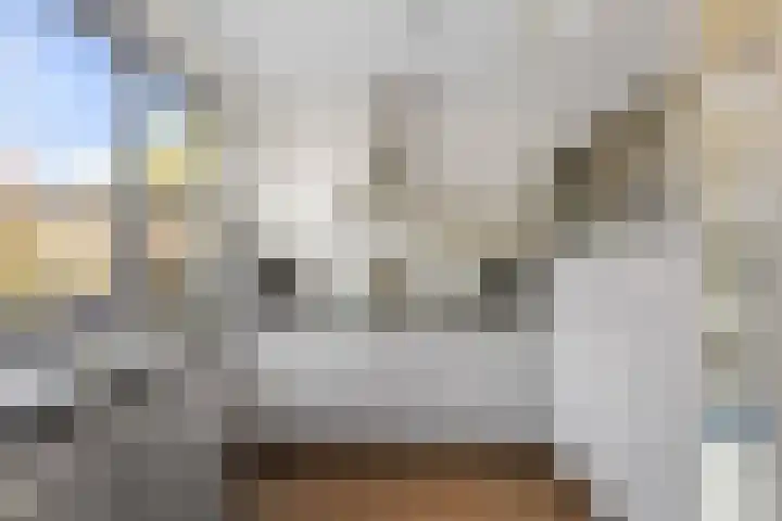 Zalm 9 Amersfoort thumbnail 18