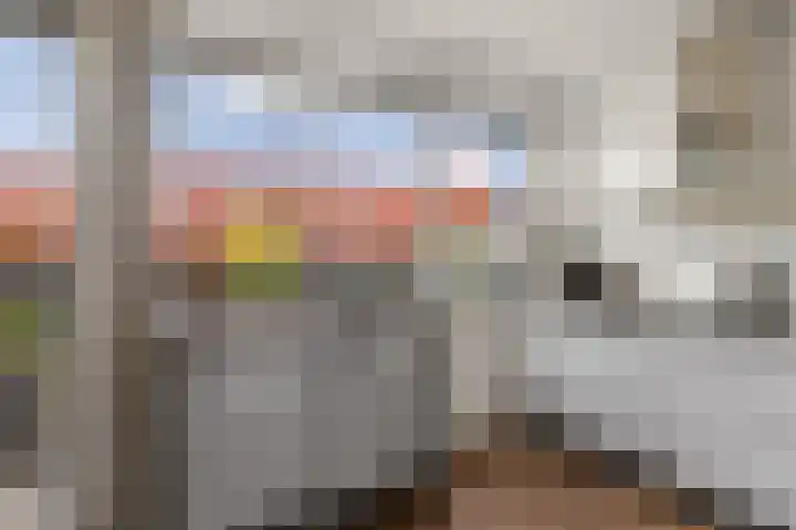 Zalm 9 Amersfoort thumbnail 20