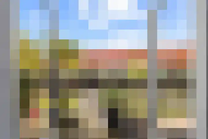 Zalm 9 Amersfoort thumbnail 21
