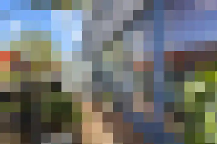Zalm 9 Amersfoort thumbnail 22