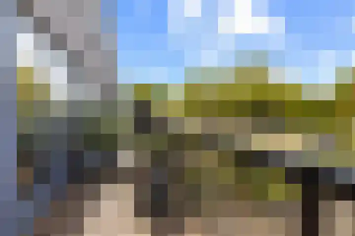 Zalm 9 Amersfoort thumbnail 23