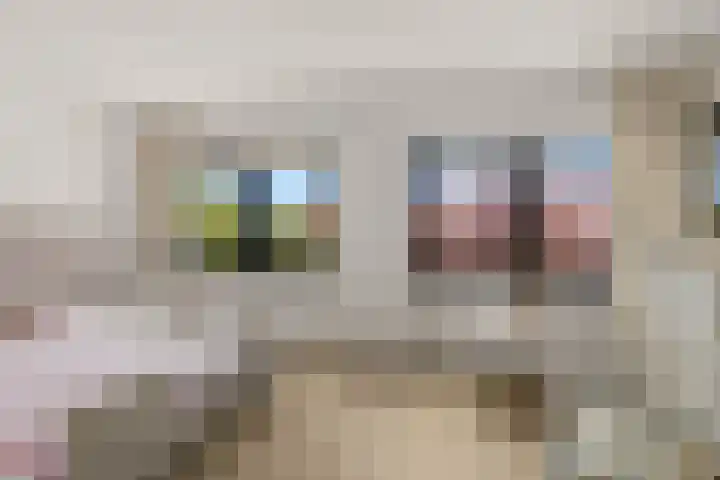 Zalm 9 Amersfoort thumbnail 25