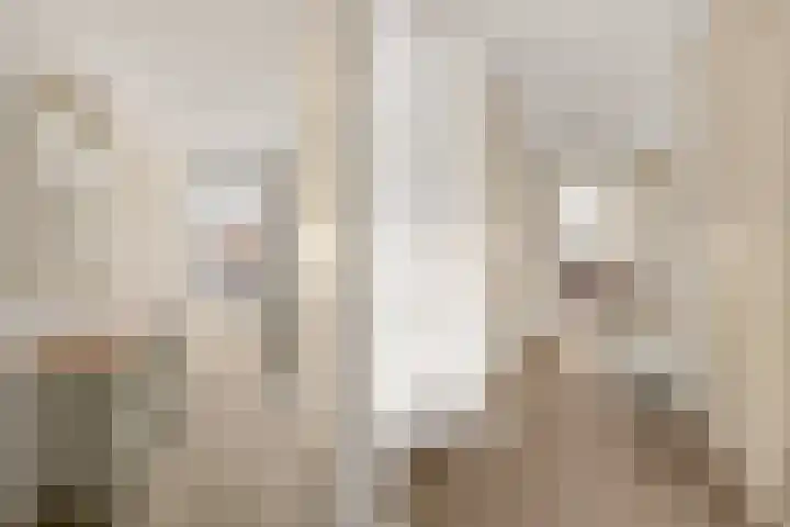Zalm 9 Amersfoort thumbnail 33