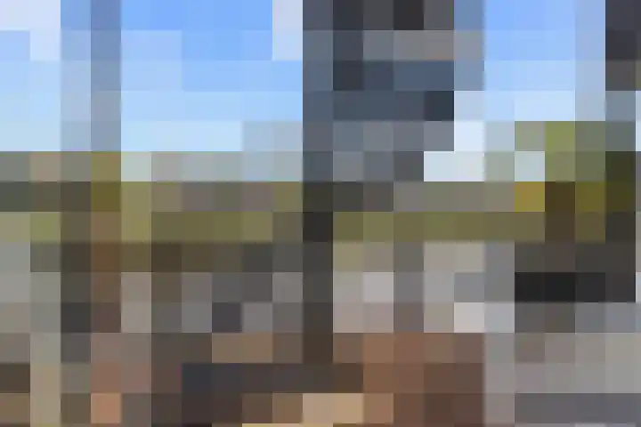 Zalm 9 Amersfoort thumbnail 34