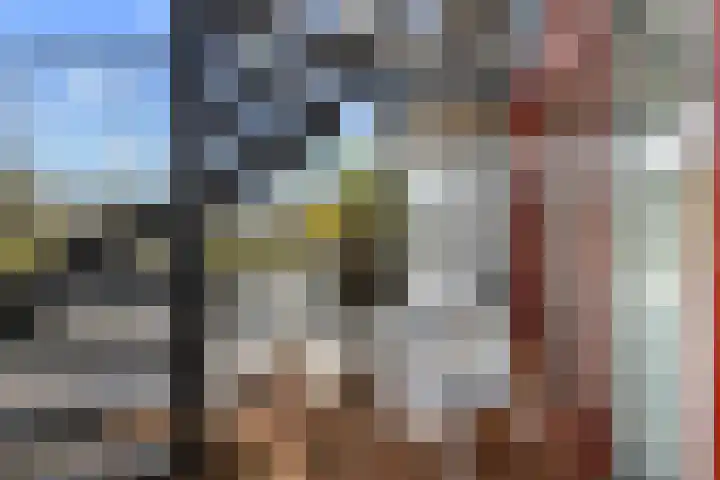 Zalm 9 Amersfoort thumbnail 35