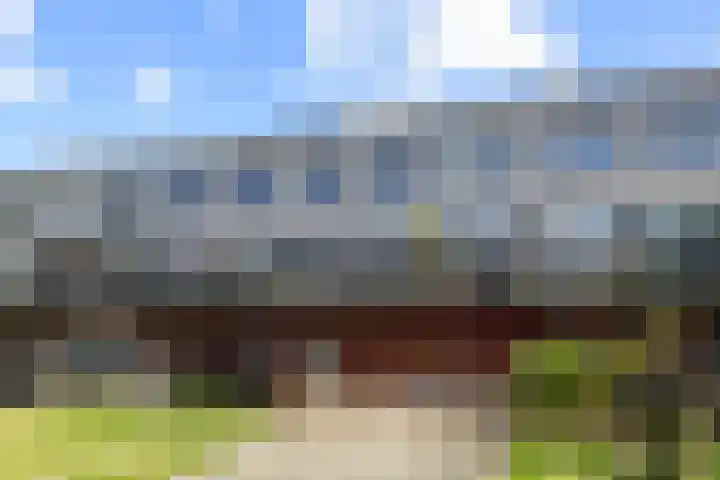 Zalm 9 Amersfoort thumbnail 38