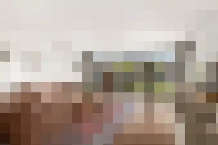 Zalm 9 Amersfoort thumbnail 4