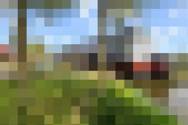 Zalm 9 Amersfoort thumbnail 42