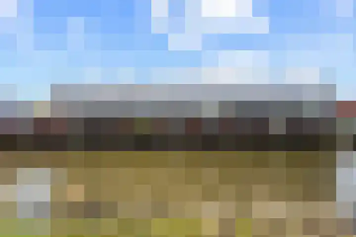 Zalm 9 Amersfoort thumbnail 44