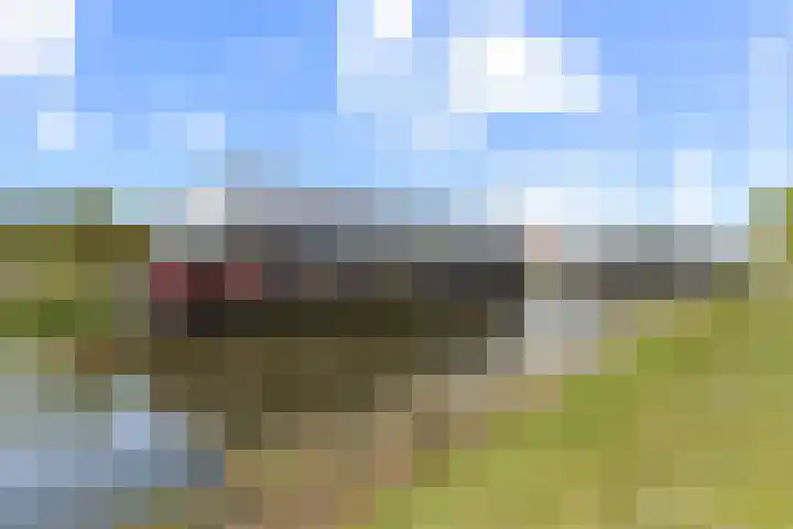 Zalm 9 Amersfoort thumbnail 45