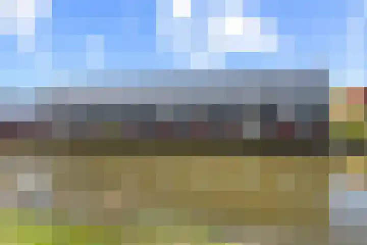 Zalm 9 Amersfoort thumbnail 46
