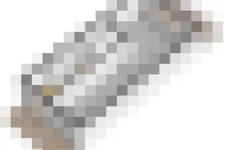 Zalm 9 Amersfoort thumbnail 52