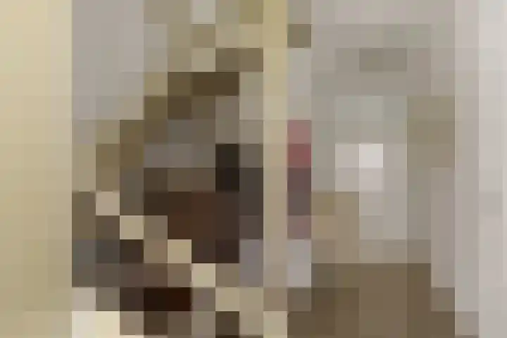 Zalm 9 Amersfoort thumbnail 8