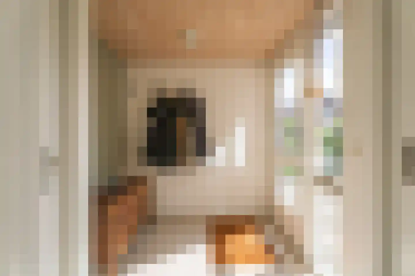 Zalmforel 17 Leiden thumbnail 11