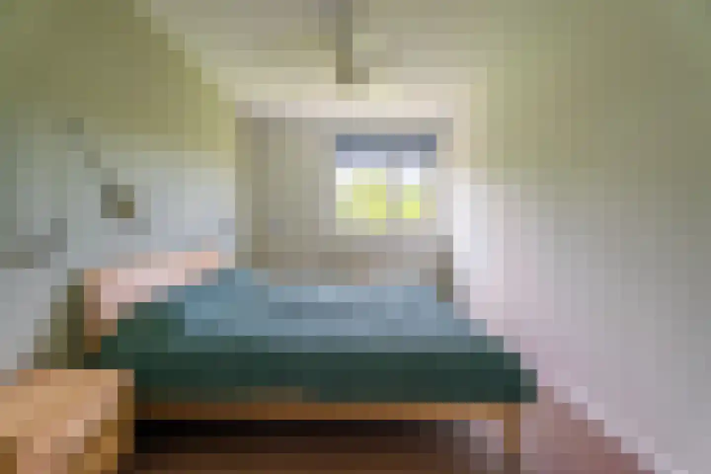 Zalmforel 17 Leiden thumbnail 19