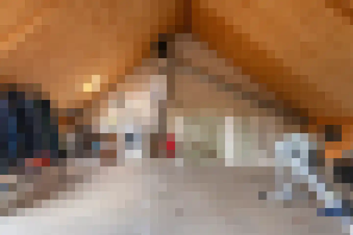 Zalmforel 17 Leiden thumbnail 28