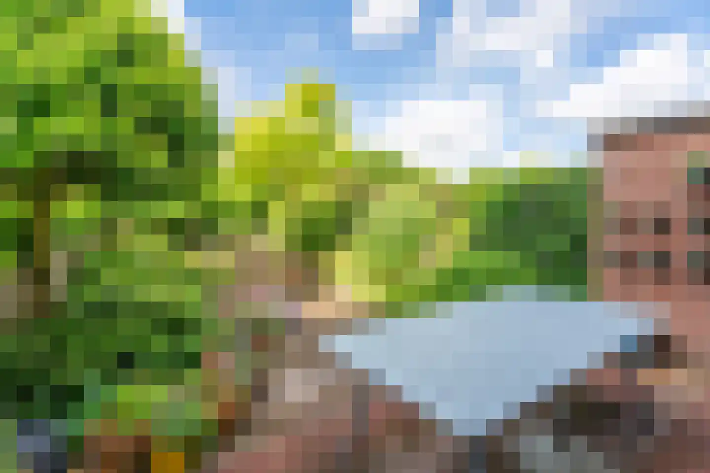 Zalmforel 17 Leiden thumbnail 29