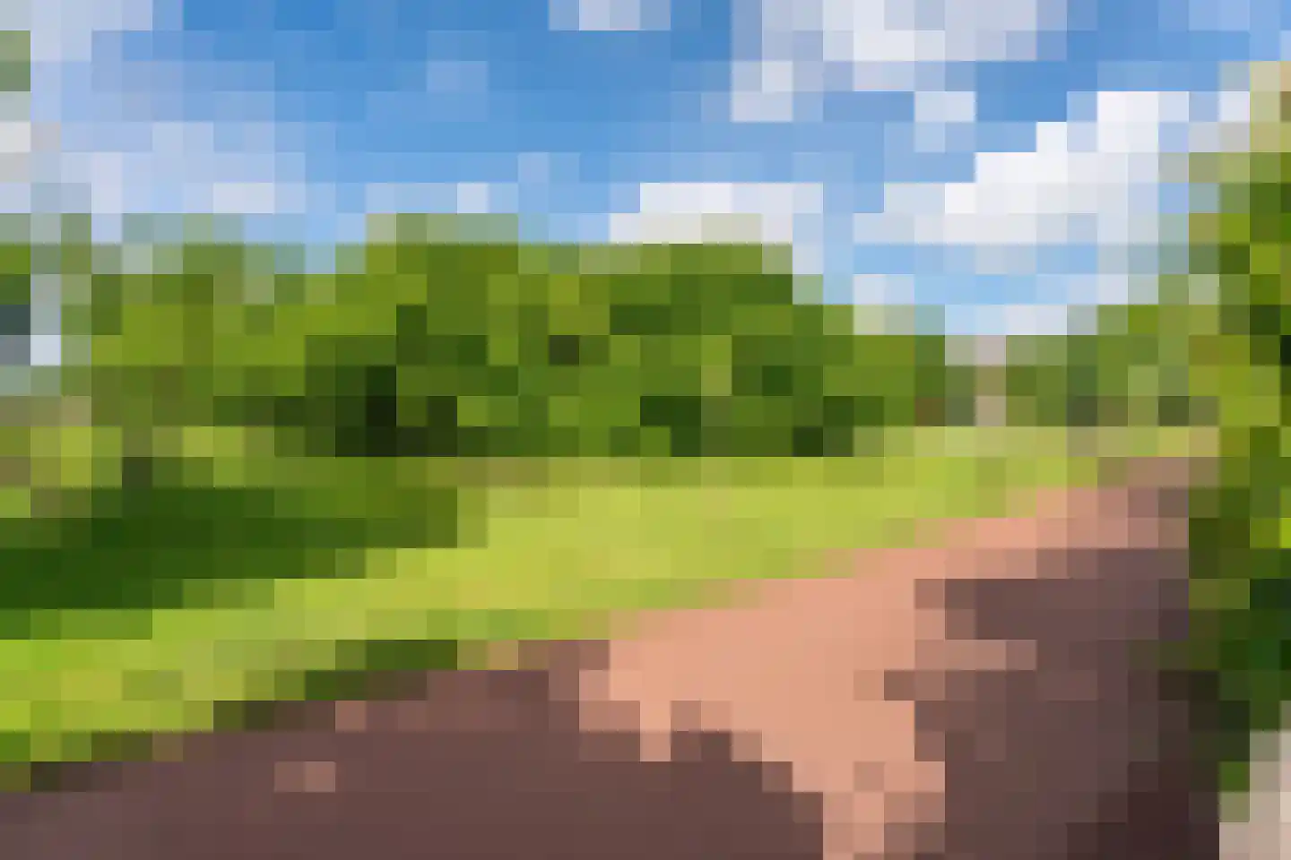 Zalmforel 17 Leiden thumbnail 31