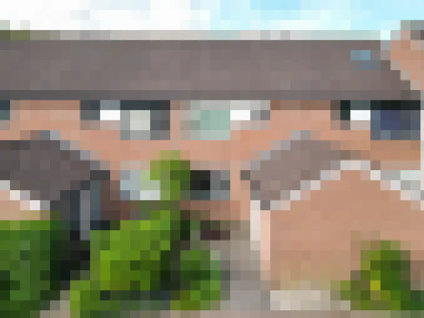 Zalmforel 17 Leiden thumbnail 33