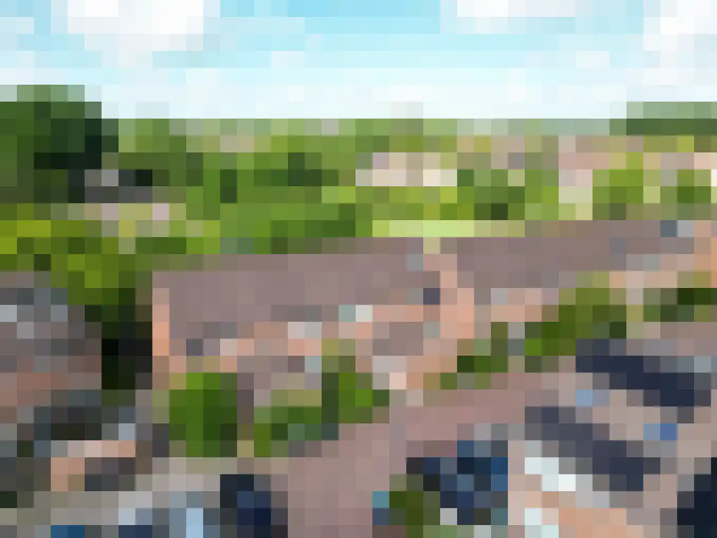 Zalmforel 17 Leiden thumbnail 35