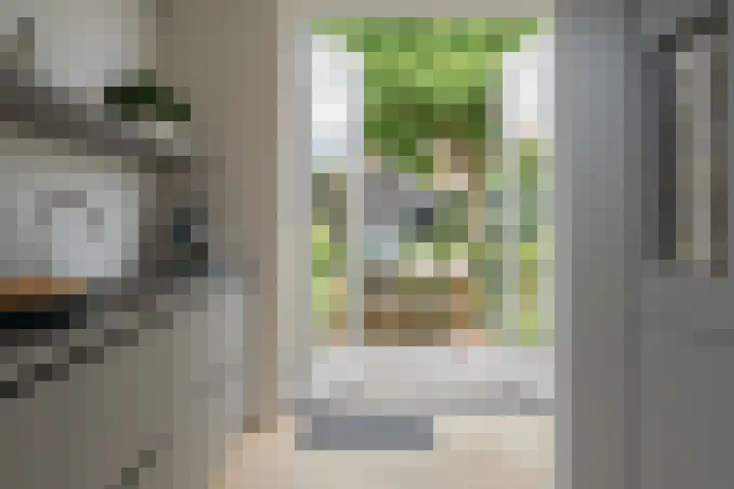 Zalmgracht 4 Beuningen Gld thumbnail 22